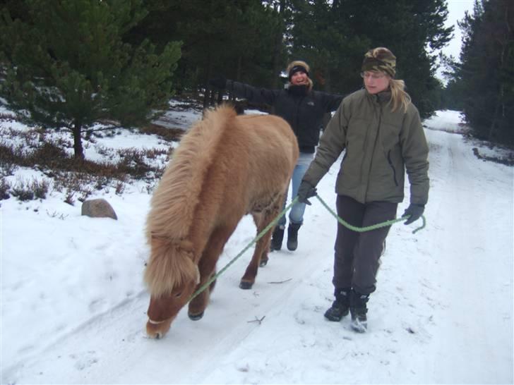Tur til Rørvig/Paradisgården  - Sporhund ;) billede 26