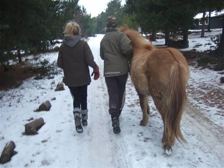 Tur til Rørvig/Paradisgården  - Numser .. billede 25