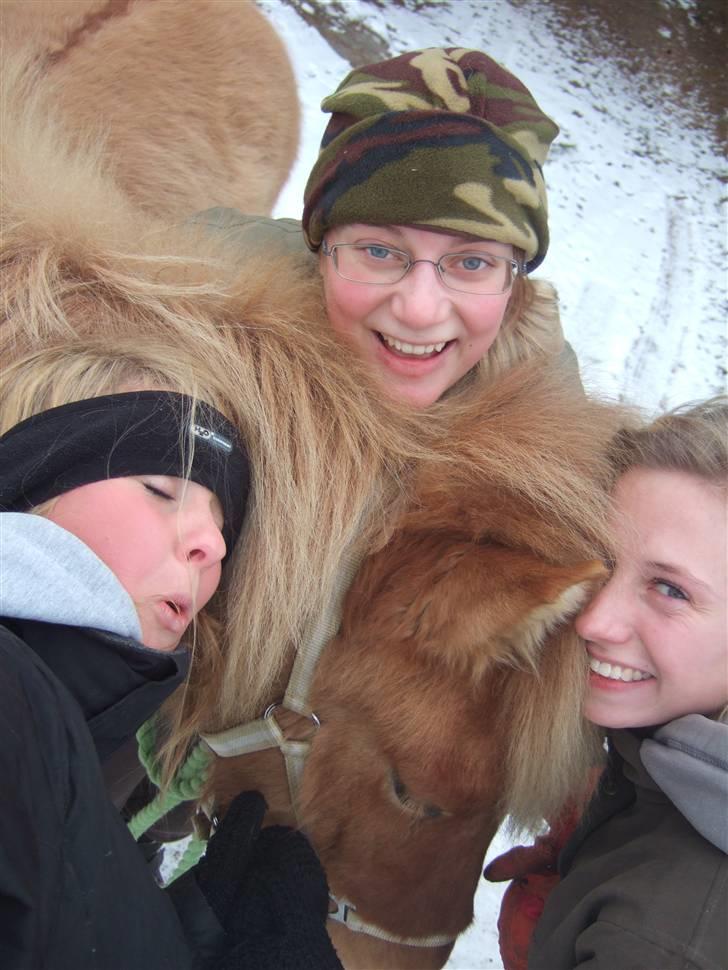 Tur til Rørvig/Paradisgården  - Tænk at vi alle fire kan være så grimme på samme tid !  -.-' billede 24