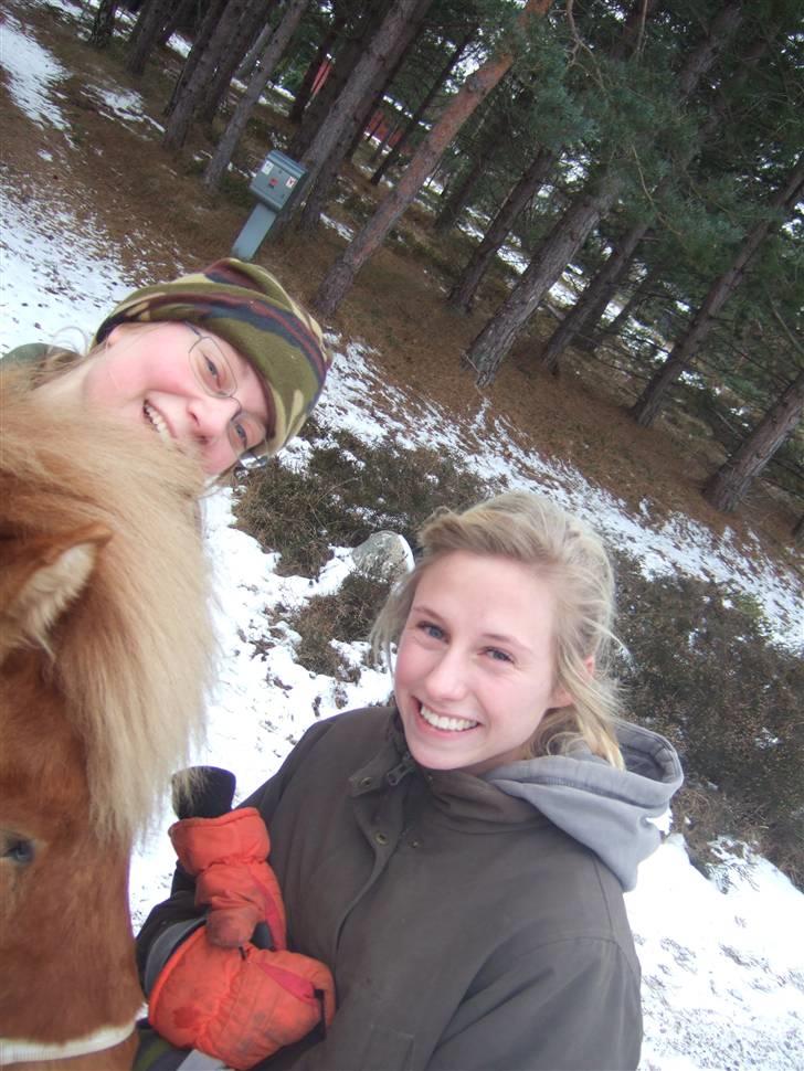 Tur til Rørvig/Paradisgården  - Heller ikk her.. billede 23
