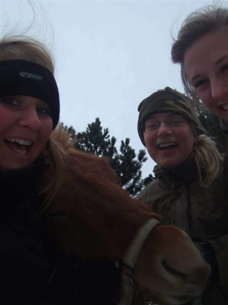 Tur til Rørvig/Paradisgården  - Ingen kommentar.. billede 22