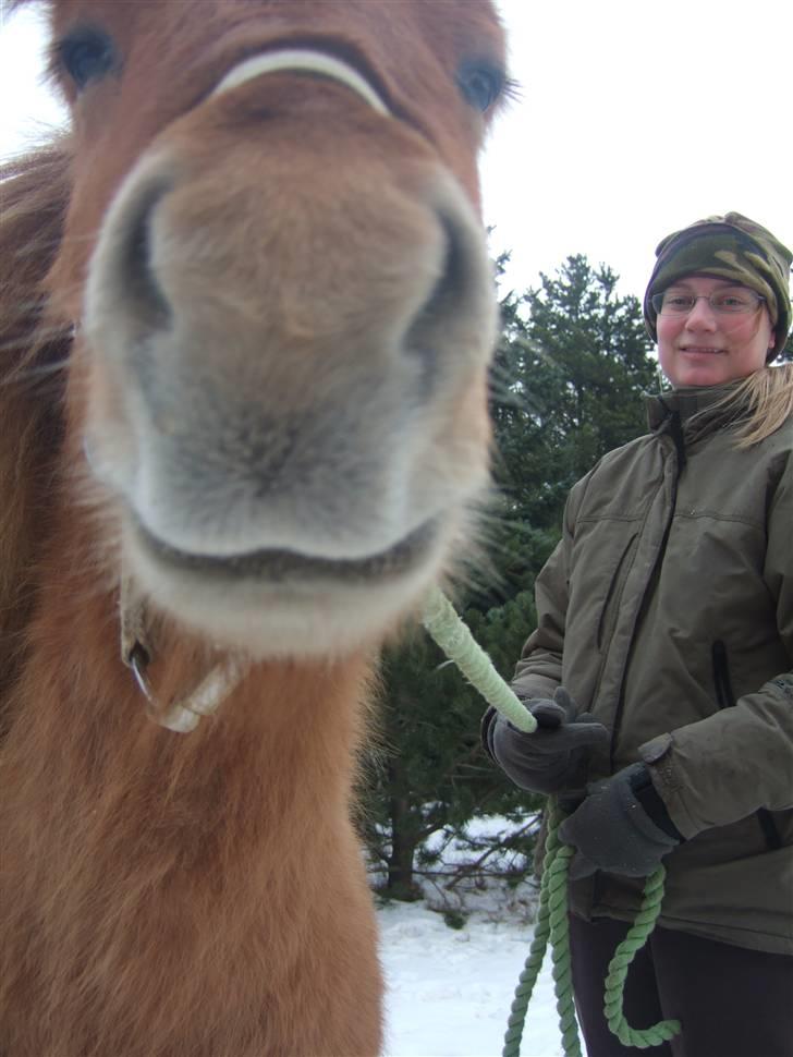 Tur til Rørvig/Paradisgården  - MULE ! billede 20