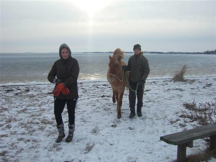 Tur til Rørvig/Paradisgården  - Lad os komme hjem i varmen igen.. billede 19