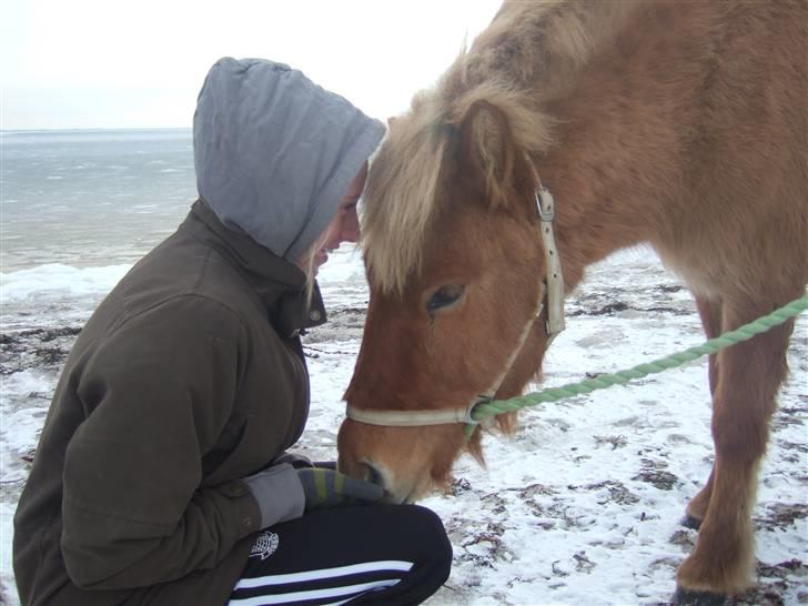 Tur til Rørvig/Paradisgården  - Hyggestund :) billede 18