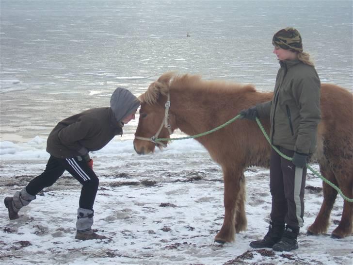 Tur til Rørvig/Paradisgården  - ? billede 17