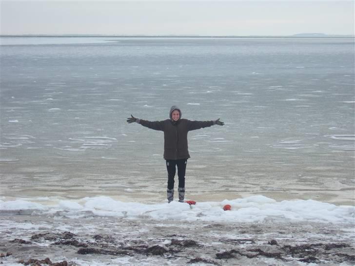 Tur til Rørvig/Paradisgården  - Tas kan stå på vandet !!! billede 15