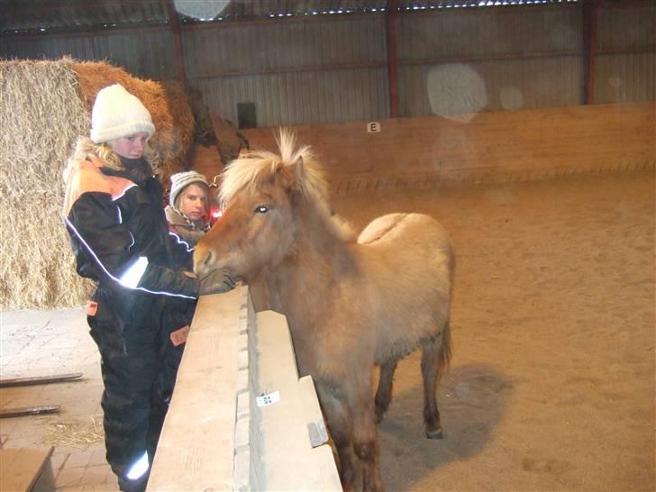 Tur til Rørvig/Paradisgården  - Ljúffe hilser på Louise :) billede 12