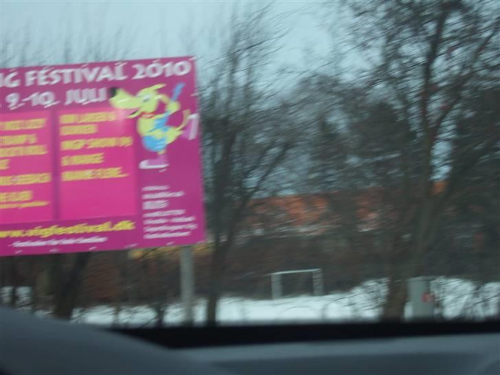 Tur til Rørvig/Paradisgården  - Vi overvejer lidt Vig festival ... eller vi holder os vist bare til Roskilde ;) billede 9