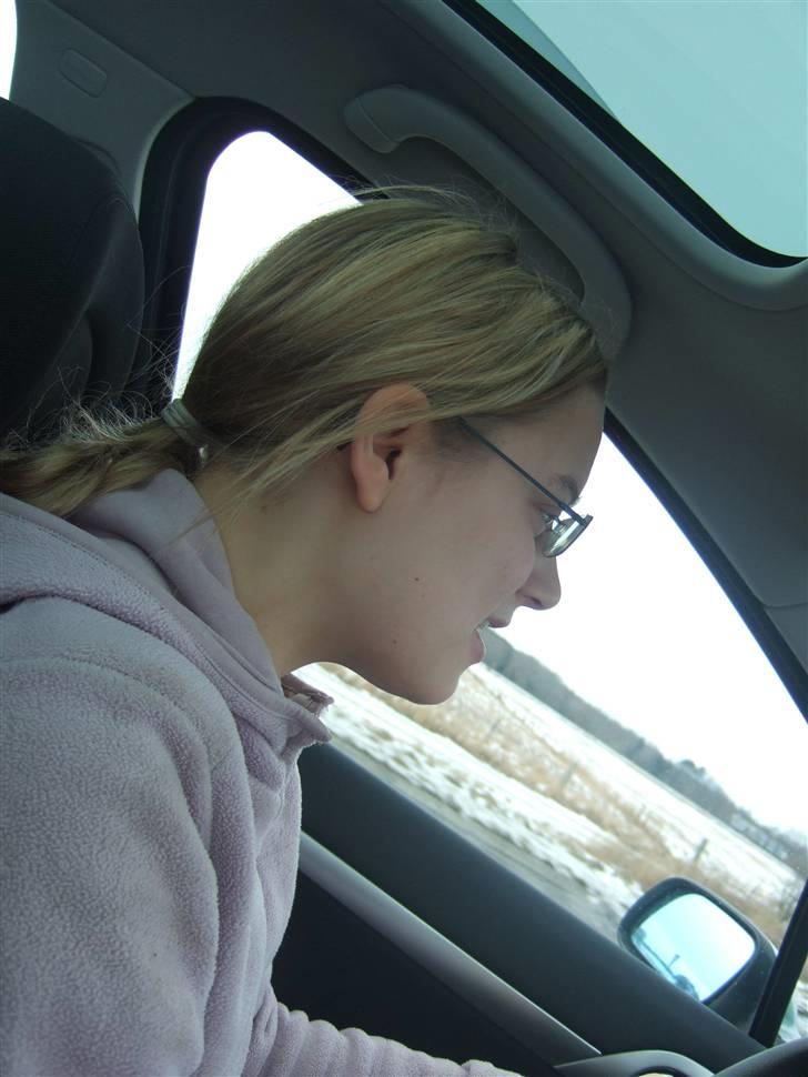 Tur til Rørvig/Paradisgården  - Den dygtige chauffør på sin jomfrurejse til nordsjælland .. :O billede 4