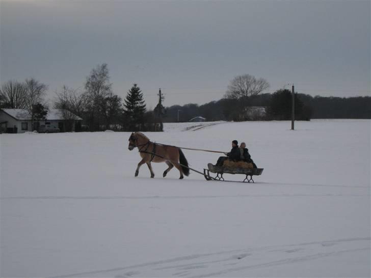 Virago foran den gamle kane - Der må trækkes godt op ad bakken billede 2