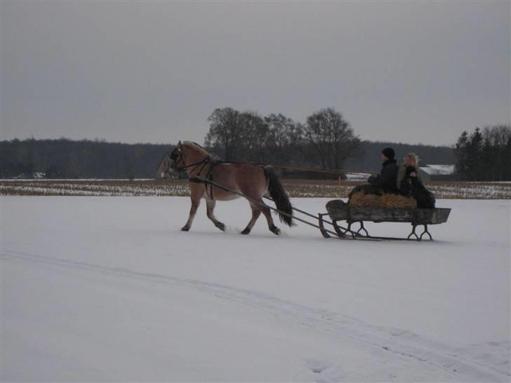 Virago foran den gamle kane - God takt billede 3
