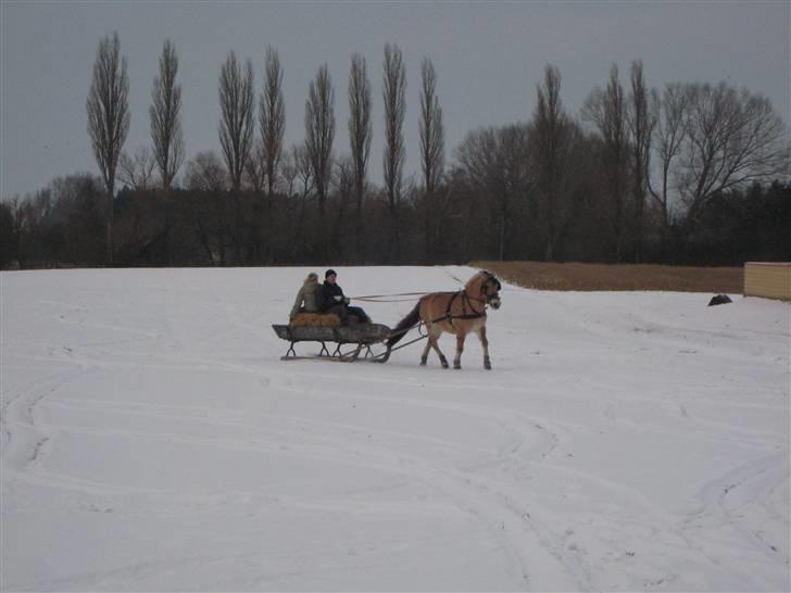 Virago foran den gamle kane - Så fint det går billede 6