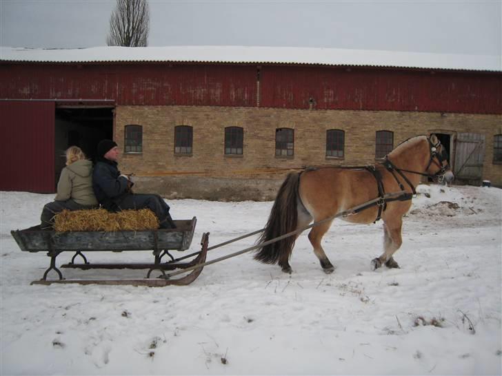 Virago foran den gamle kane billede 7