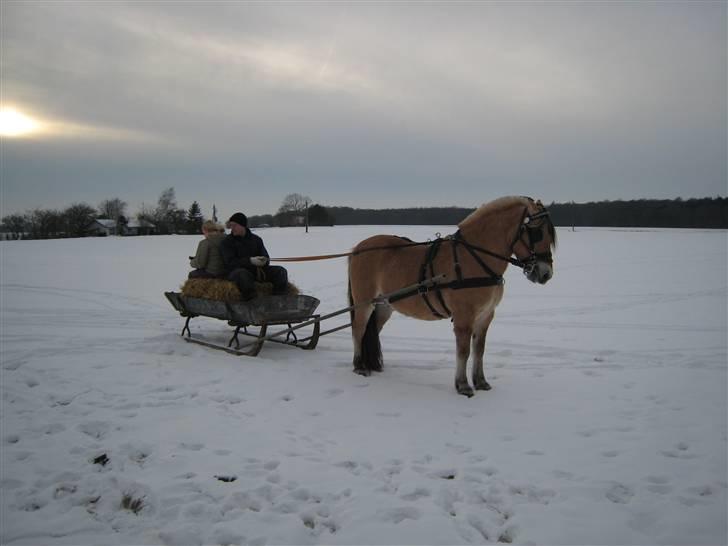 Virago foran den gamle kane - Så er turen forbi... billede 8