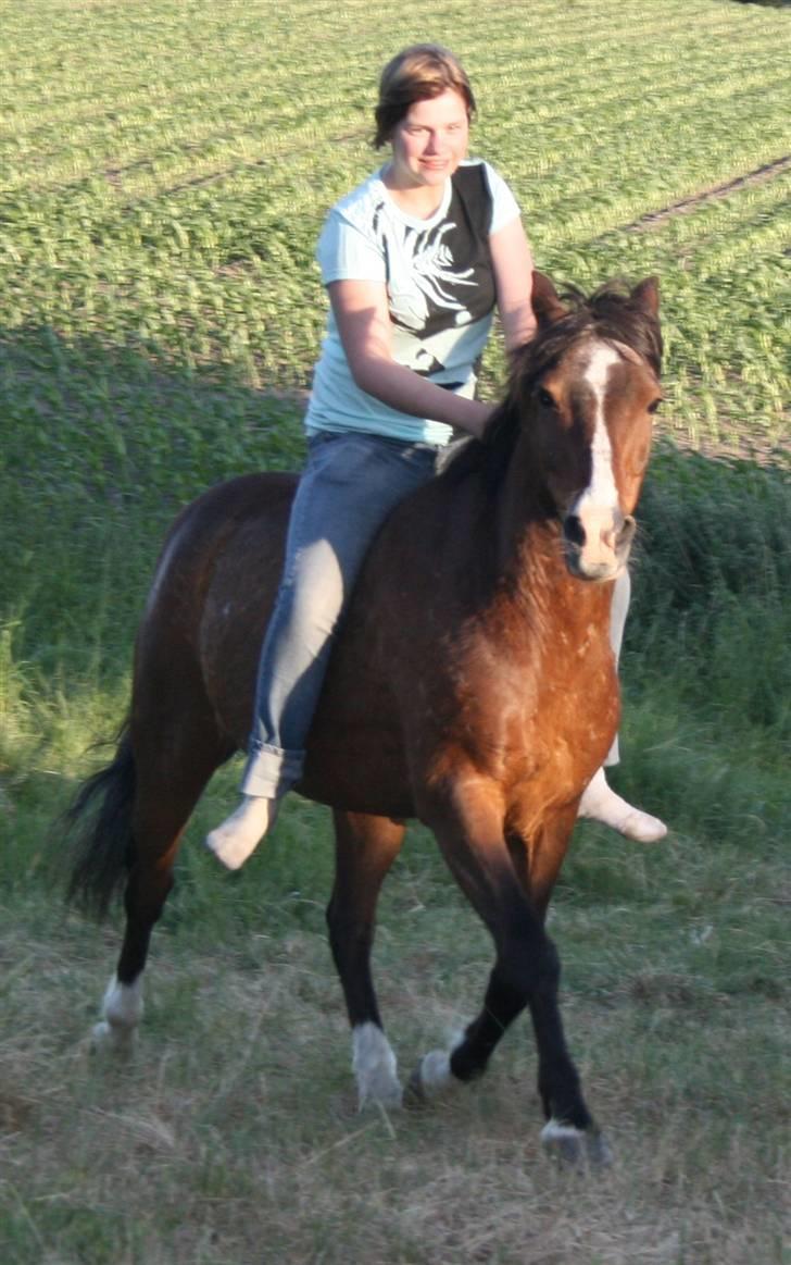 Heidi Rasmussen  billede 4