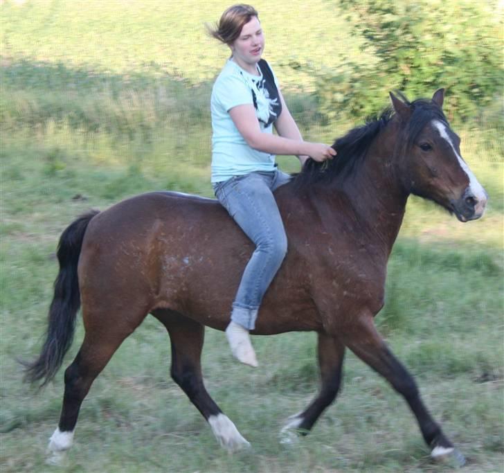 Heidi Rasmussen  - Vi er 2 men svæver som 1 ! jeg elsker dig pony billede 5