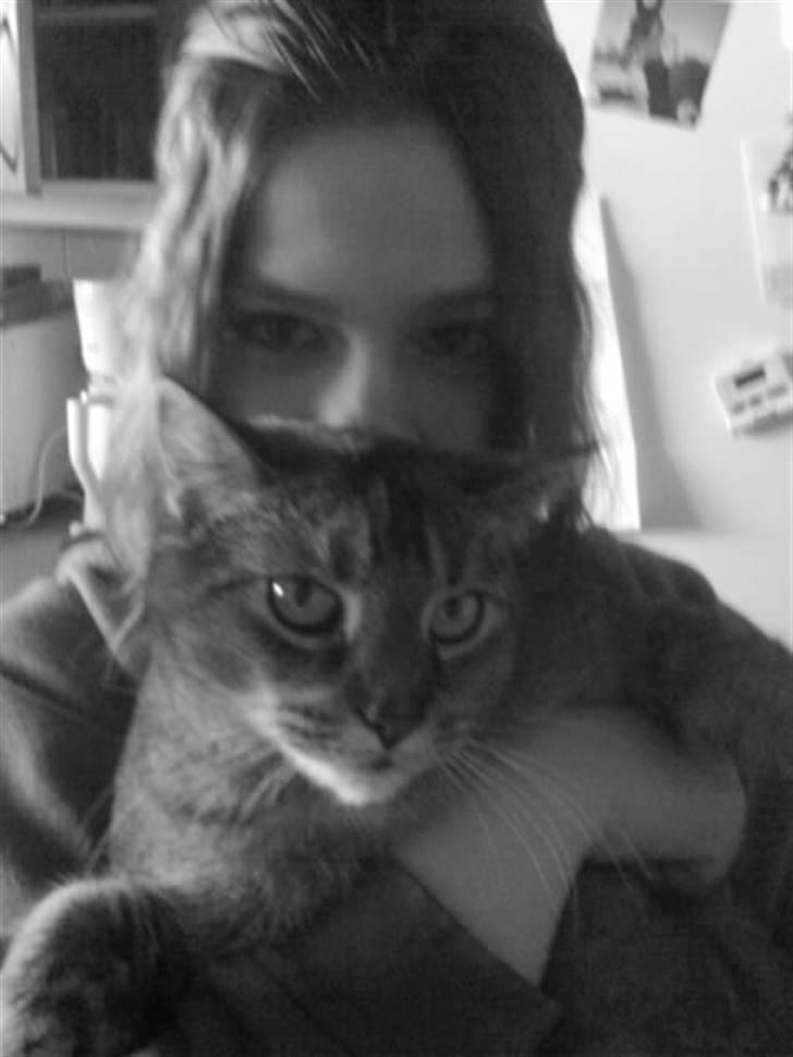 Heidi Rasmussen  billede 41