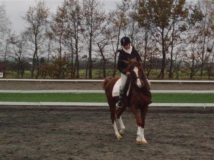 {{currentPhoto.altText}} billede {{currentPhoto.number}}