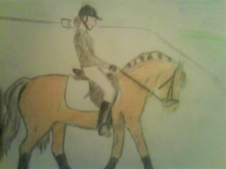 © Mine tegninger :) - Trine A's fjordhest, Rosetta.
Beklager meget, at lyset er så dårligt. Min lampe er i stykker, så det var noget helt andet lys - så træls :) Desværre blev farven heller ikke som ønsket på nordbaggen, men sådan i det hele taget drillede det mig. Håber du kan lide den alligevel trods mine mange fejl. :)
Link: http://www.hestegalleri.dk/html/alb_vis.asp?AlbumID=175091 billede 67