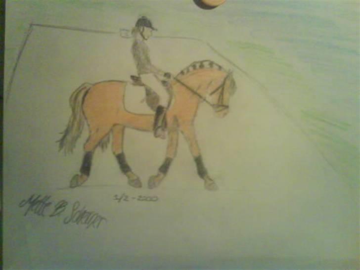 © Mine tegninger :) - Trine A's fjordhest, Rosetta.
Beklager meget, at lyset er så dårligt. Min lampe er i stykker, så det var noget helt andet lys - så træls :) Desværre blev farven heller ikke som ønsket på nordbaggen, men sådan i det hele taget drillede det mig. Håber du kan lide den alligevel trods mine mange fejl. :)
Link: http://www.hestegalleri.dk/html/alb_vis.asp?AlbumID=175091 billede 68