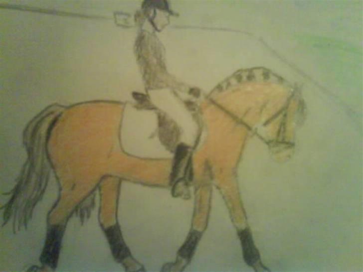 © Mine tegninger :) - Trine A's fjordhest, Rosetta.
Beklager meget, at lyset er så dårligt. Min lampe er i stykker, så det var noget helt andet lys - så træls :) Desværre blev farven heller ikke som ønsket på nordbaggen, men sådan i det hele taget drillede det mig. Håber du kan lide den alligevel trods mine mange fejl. :)
Link: http://www.hestegalleri.dk/html/alb_vis.asp?AlbumID=175091 billede 69