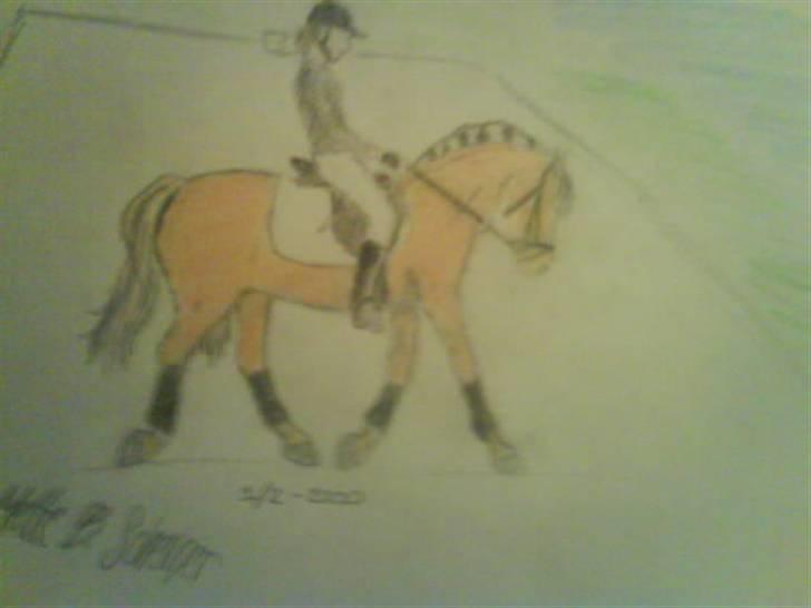 © Mine tegninger :) - Trine A's fjordhest, Rosetta.
Beklager meget, at lyset er så dårligt. Min lampe er i stykker, så det var noget helt andet lys - så træls :) Desværre blev farven heller ikke som ønsket på nordbaggen, men sådan i det hele taget drillede det mig. Håber du kan lide den alligevel trods mine mange fejl. :)
Link: http://www.hestegalleri.dk/html/alb_vis.asp?AlbumID=175091 billede 71