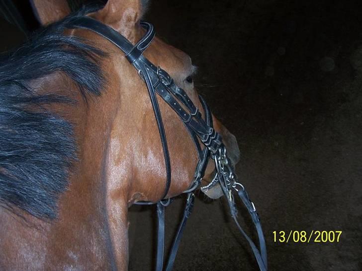 Bækgårdens Hayway billede 20