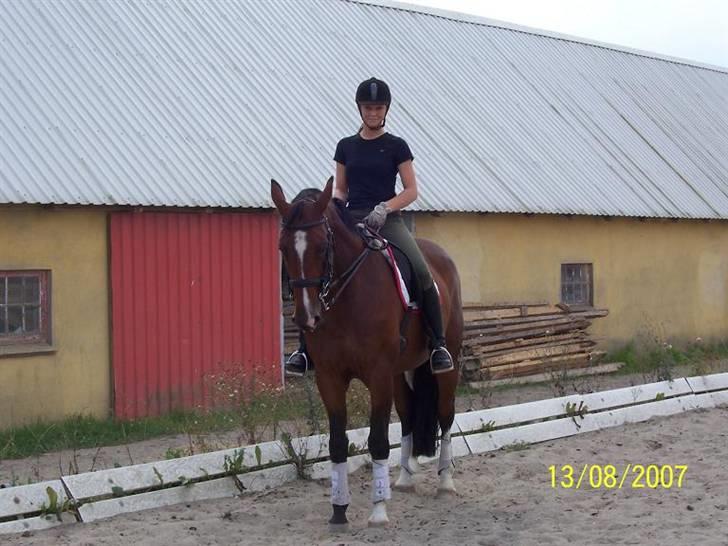 Bækgårdens Hayway billede 21