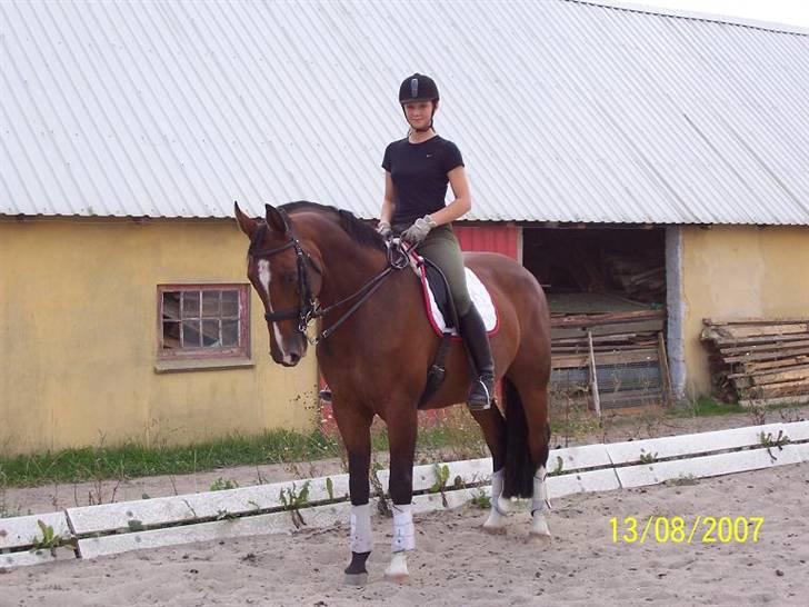 Bækgårdens Hayway billede 22