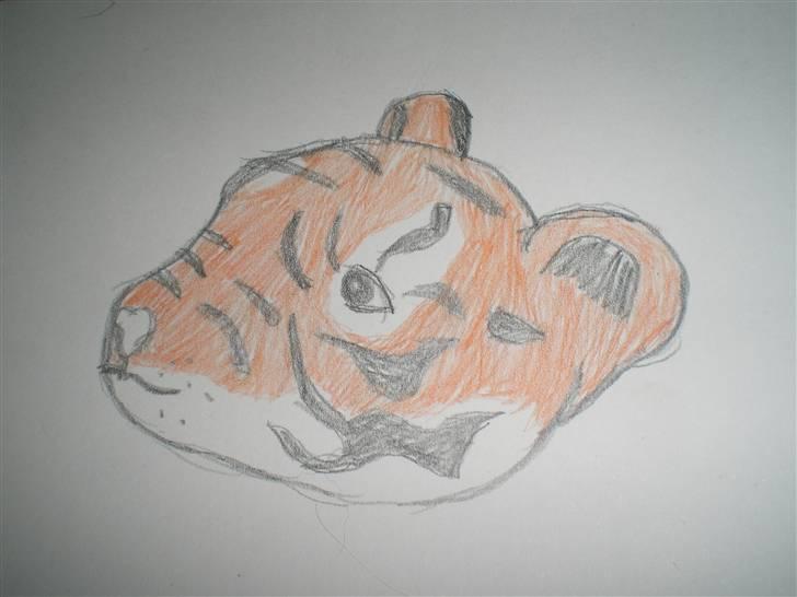 Tiger tegninger.. ;) billede 1