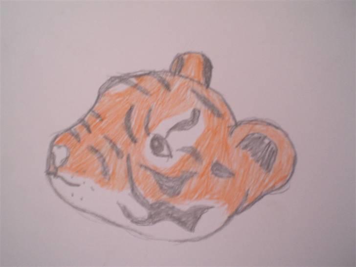 Tiger tegninger.. ;) billede 2