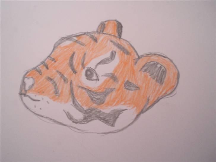 Tiger tegninger.. ;) billede 3