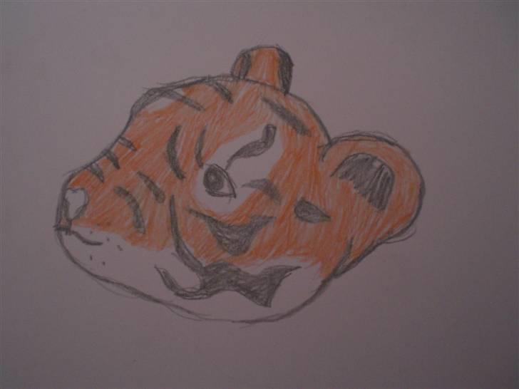 Tiger tegninger.. ;) billede 4