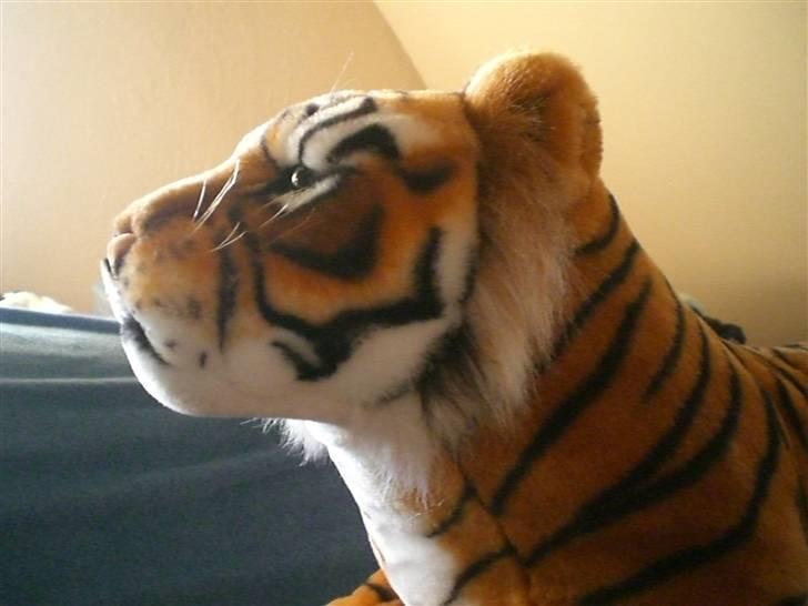 Tiger tegninger.. ;) - Det er så den her jeg har tegnet efter ;) billede 5