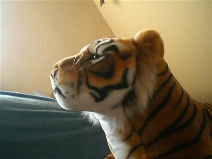 Tiger tegninger.. ;) billede 6