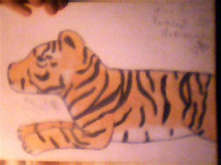 Tiger tegninger.. ;) billede 7
