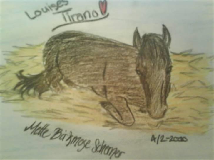 © Mine tegninger :) - Louises blandingspony, Tirano.
Den lille hoppe blev vist lidt træt :)
Link: http://www.hestegalleri.dk/html/gal_visbil.asp?ID=101827 billede 73