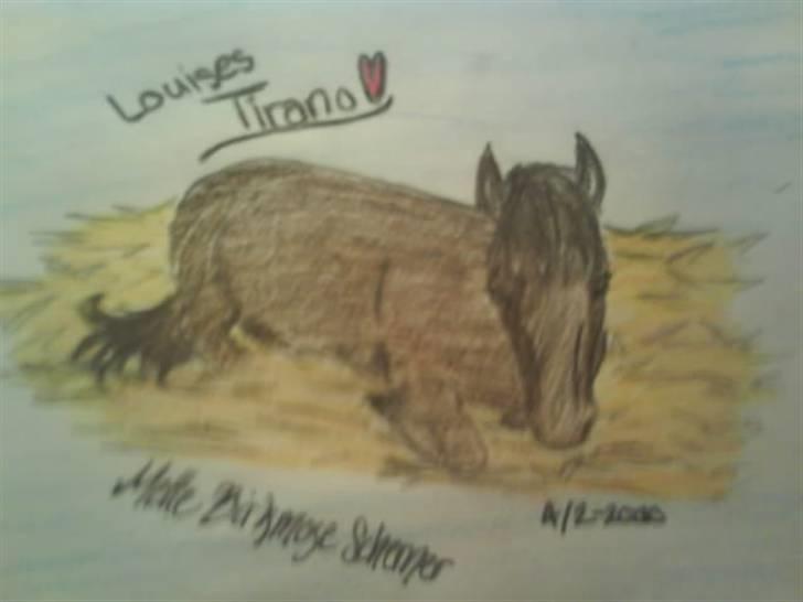 © Mine tegninger :) - Louises blandingspony, Tirano.
Den lille hoppe blev vist lidt træt :)
Link: http://www.hestegalleri.dk/html/gal_visbil.asp?ID=101827 billede 74