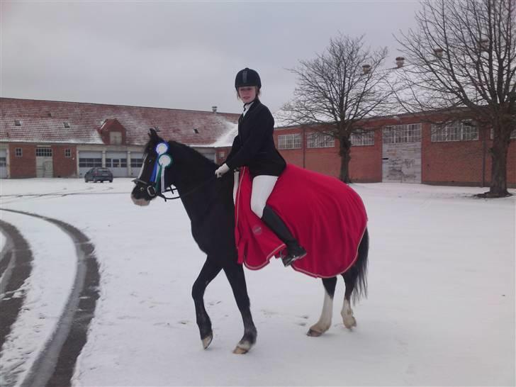 Til Kath - Næstved Rideklub stævne billede 2