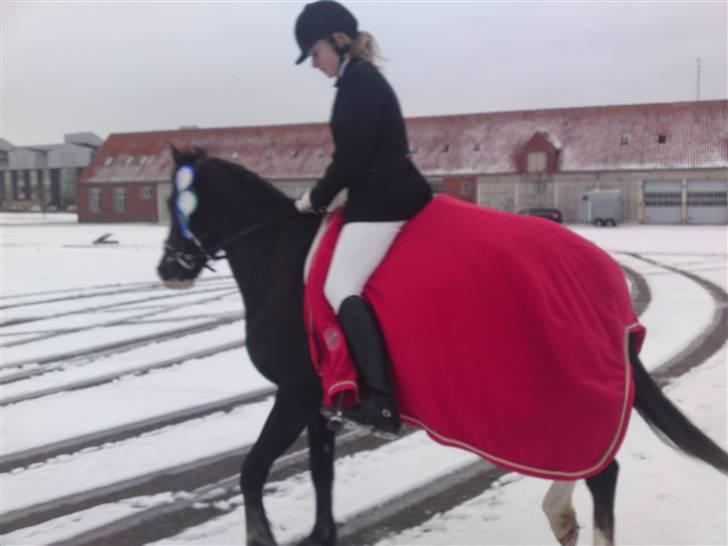 Til Kath - Næstved Rideklub stævne billede 3