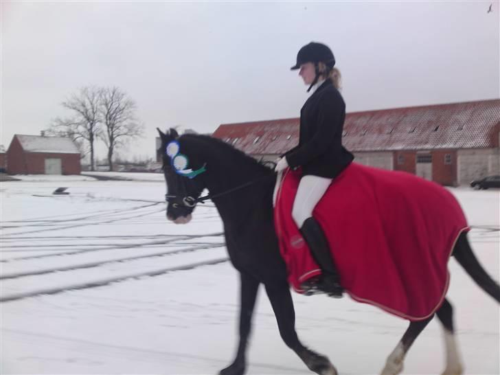 Til Kath - Næstved Rideklub stævne billede 4