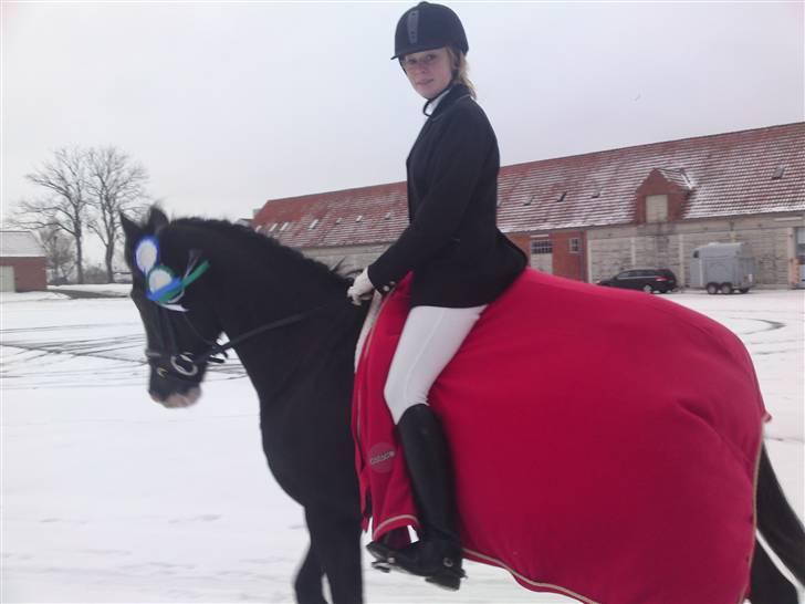 Til Kath - Næstved Rideklub stævne - Værs'go skath, du tager bare dem du vil have ;b billede 1