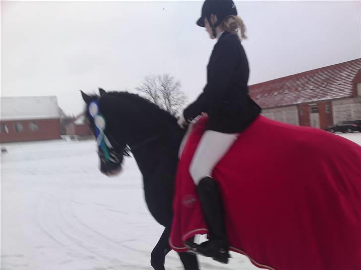 Til Kath - Næstved Rideklub stævne billede 5