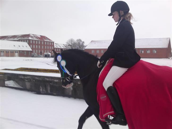 Til Kath - Næstved Rideklub stævne billede 6