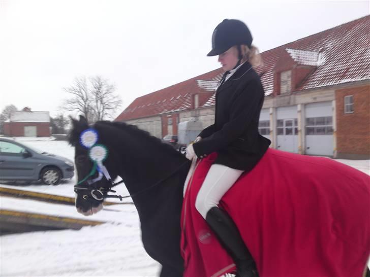 Til Kath - Næstved Rideklub stævne billede 7