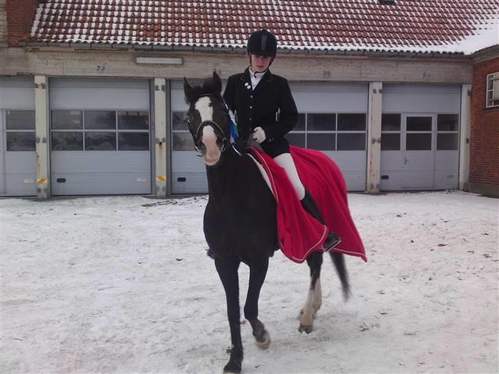 Til Kath - Næstved Rideklub stævne billede 8