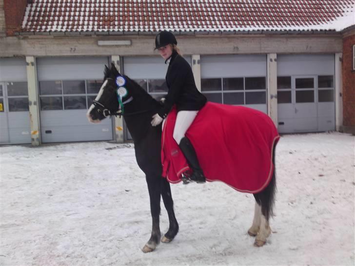 Til Kath - Næstved Rideklub stævne billede 9