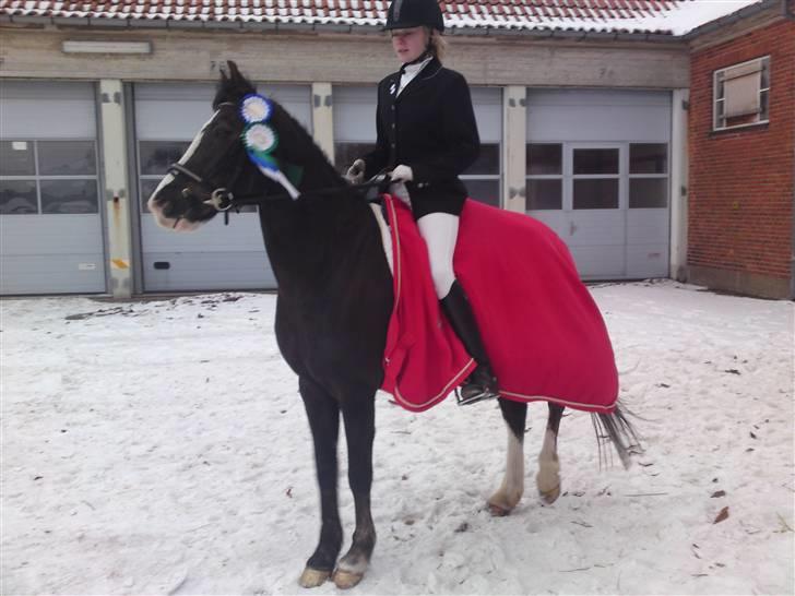 Til Kath - Næstved Rideklub stævne billede 10