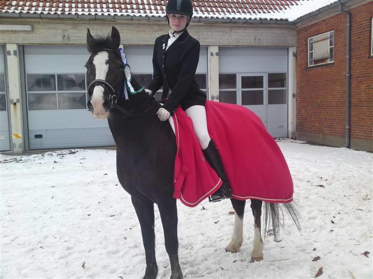 Til Kath - Næstved Rideklub stævne billede 11