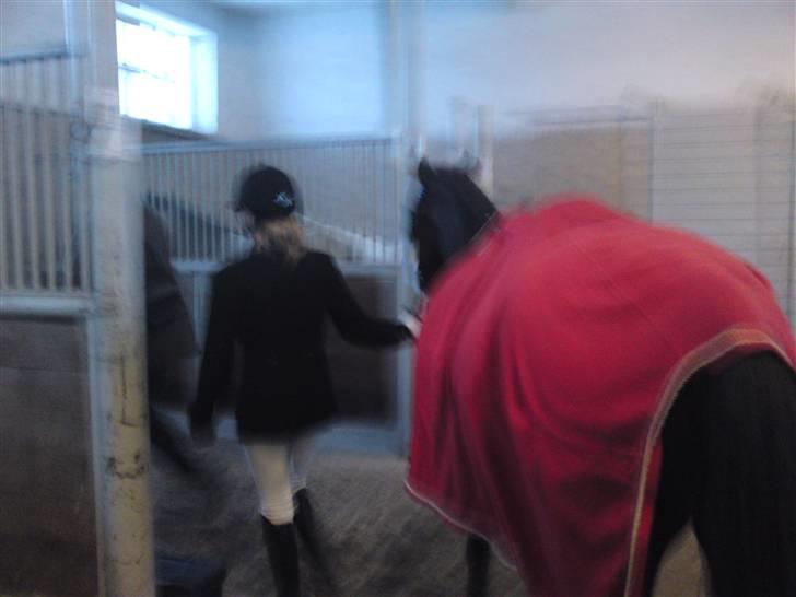 Til Kath - Næstved Rideklub stævne billede 12